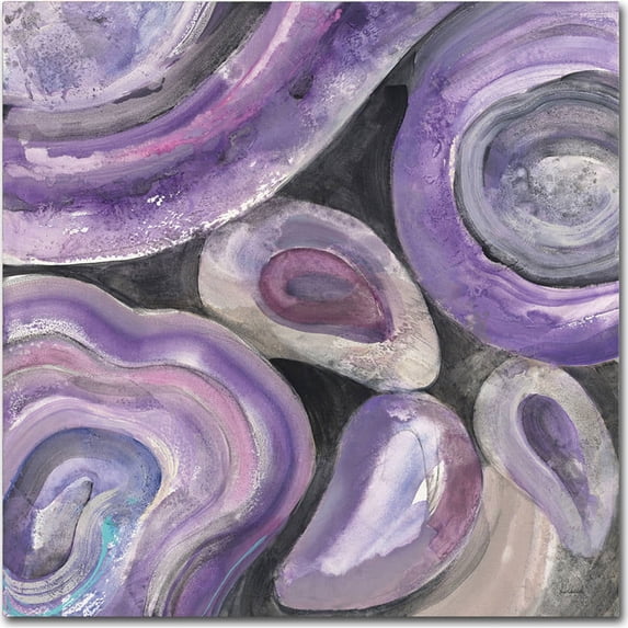 Trademark Fine Art "Circle Rain v2" Canvas Art by Albena Hristova