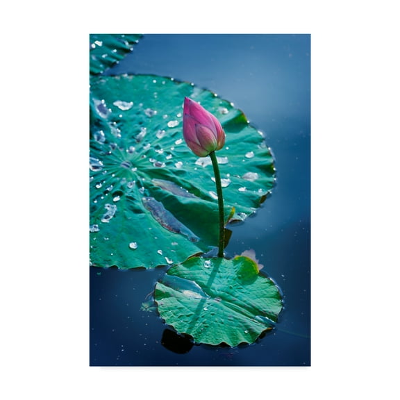 Trademark Fine Art 'Circle Seven' Canvas Art by Philippe Sainte-Laudy