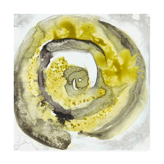 Trademark Fine Art 'Circle of Life II' Canvas Art by Lila Bramma