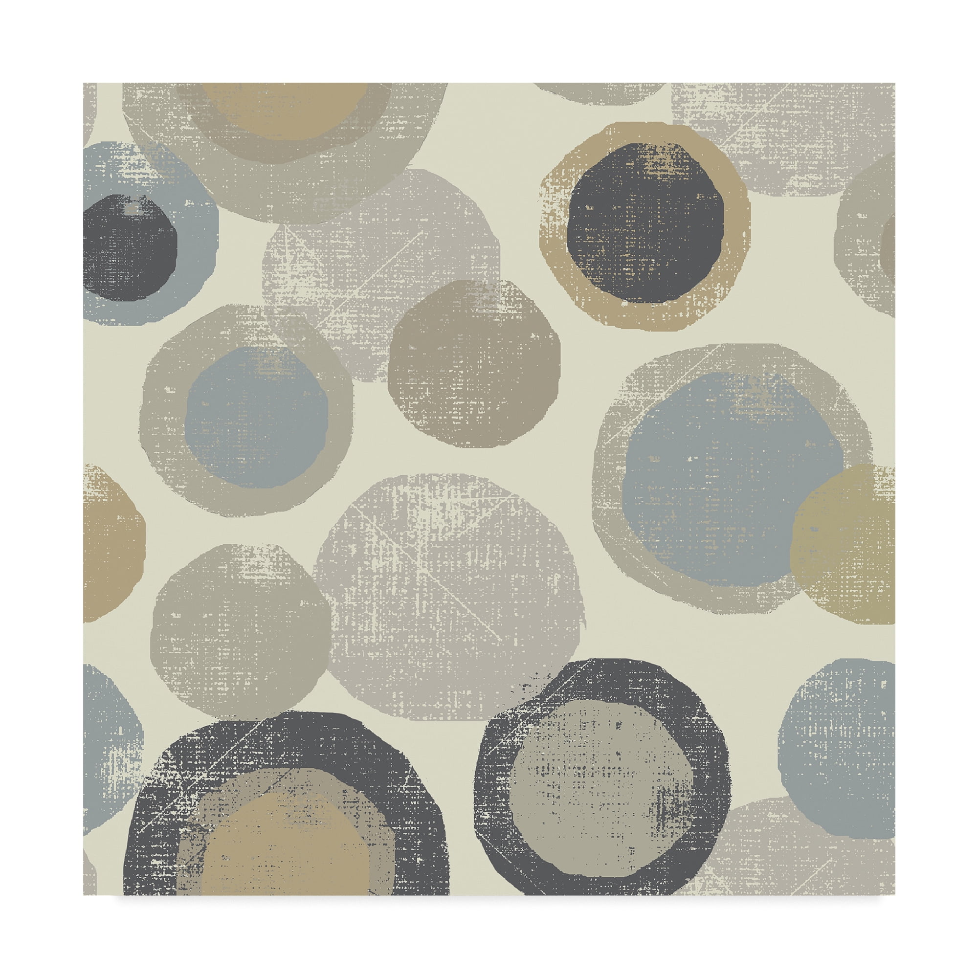 Trademark Fine Art 'Circles Archroma' Canvas Art by Wild Apple Portfolio