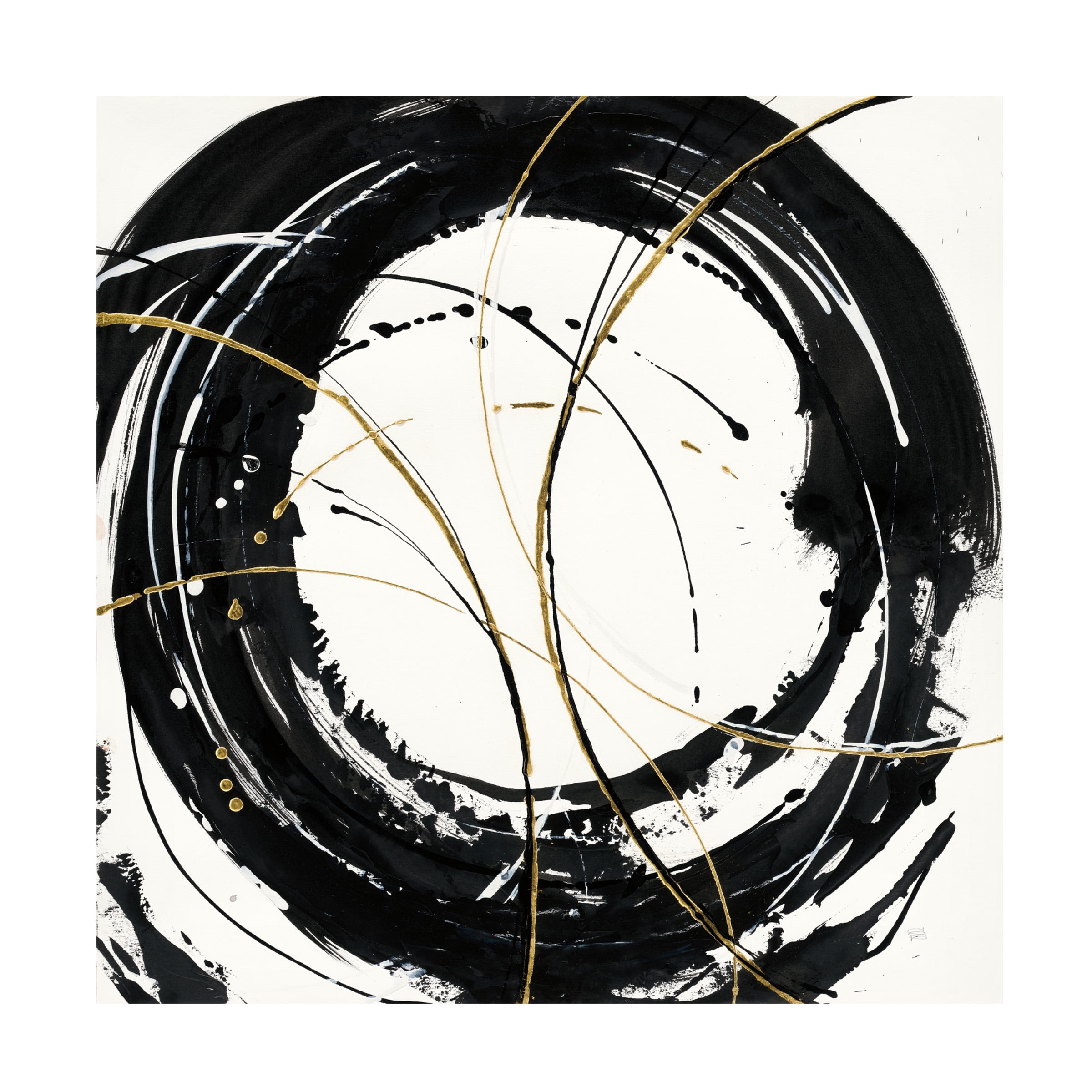 Trademark Fine Art 'Circular Web' Canvas Art by Chris Paschke