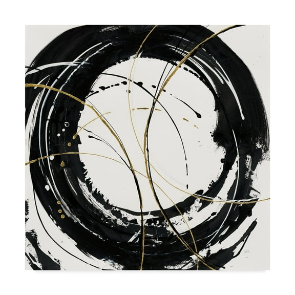 Trademark Fine Art 'Circular Web' Canvas Art by Chris Paschke