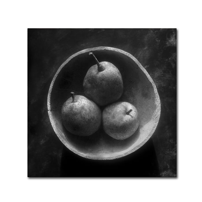 Trademark Fine Art "Circulo de Peras" Canvas Art by Moises Levy