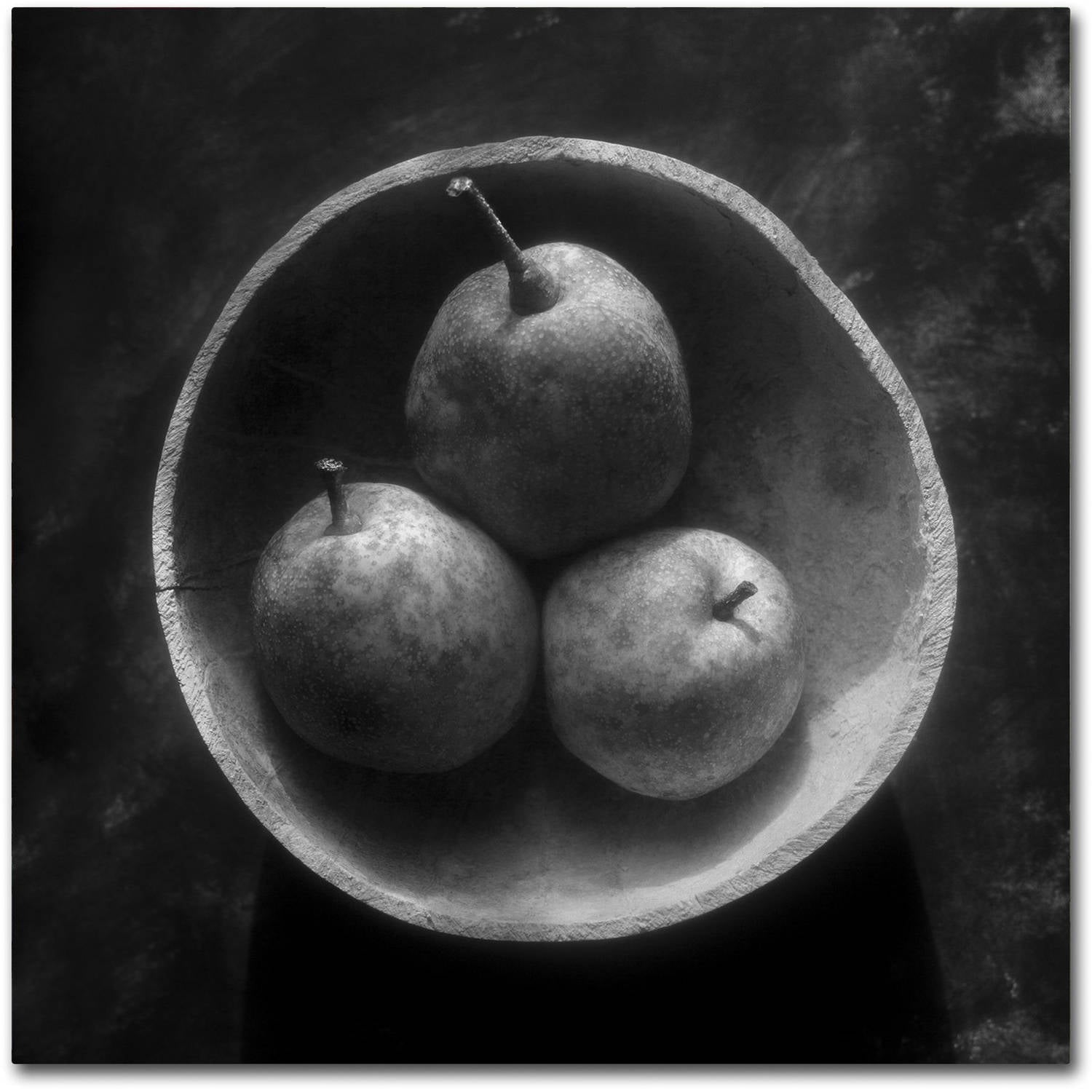Trademark Fine Art "Circulo de Peras" Canvas Art by Moises Levy
