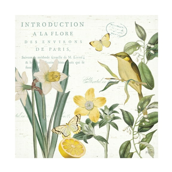 Trademark Fine Art 'Citron Curiosities III' Canvas Art by Katie Pertiet