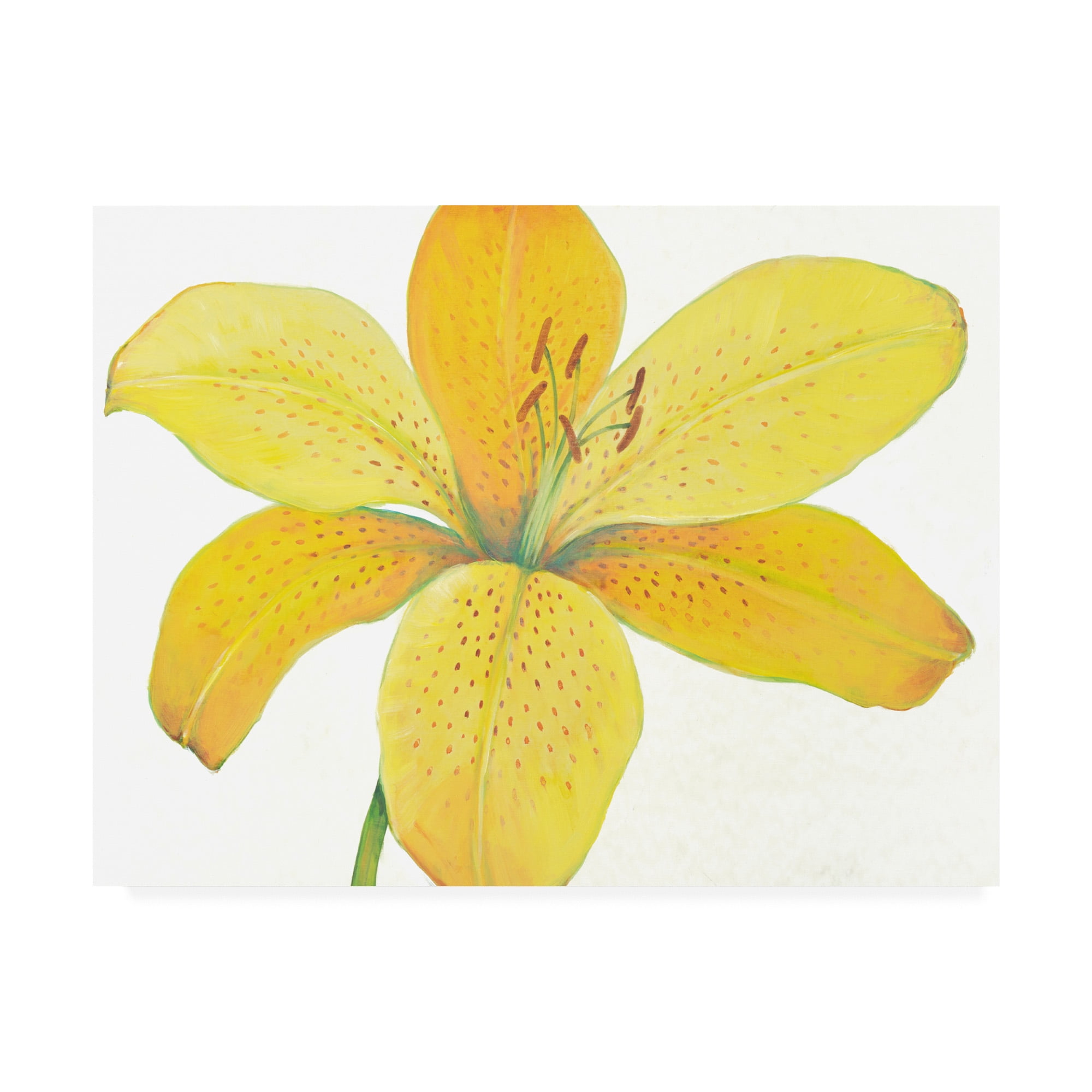 Trademark Fine Art 'Citron Tiger Lily II' Canvas Art by Tim OToole