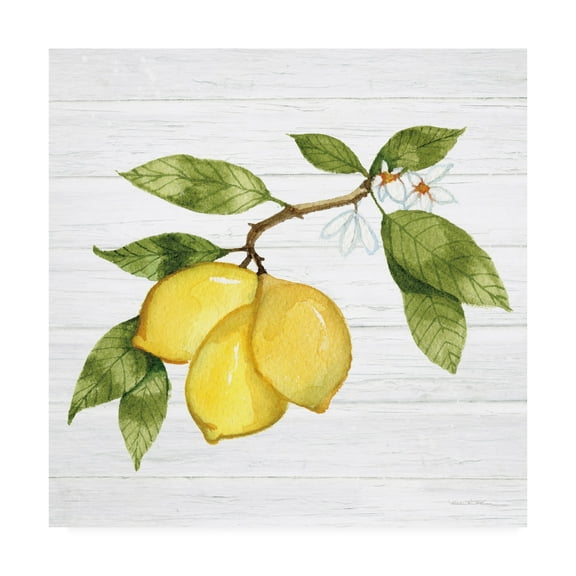Trademark Fine Art 'Citrus Garden I Shiplap' Canvas Art by Kathleen Parr McKenna