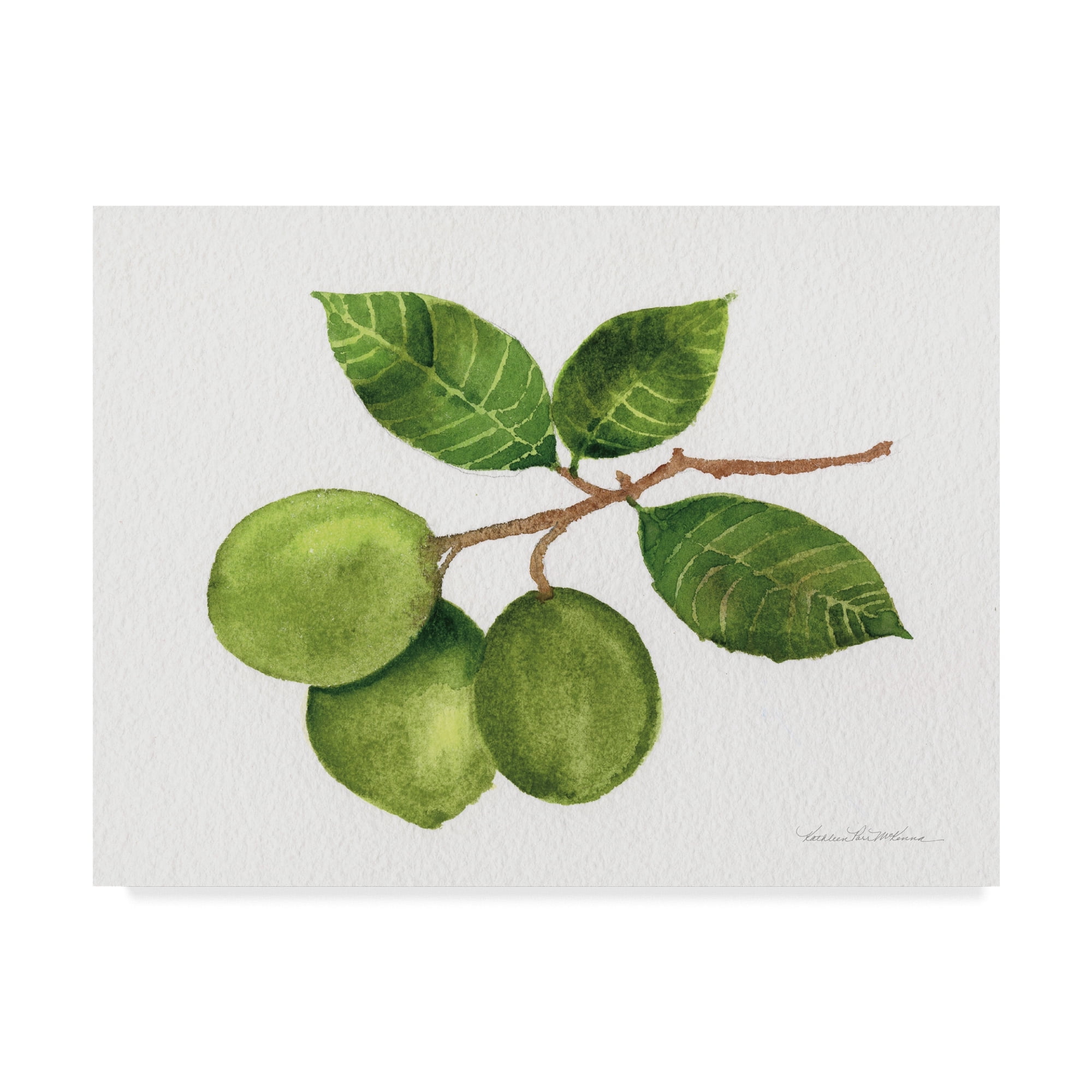Trademark Fine Art 'Citrus Garden II' Canvas Art by Kathleen Parr McKenna