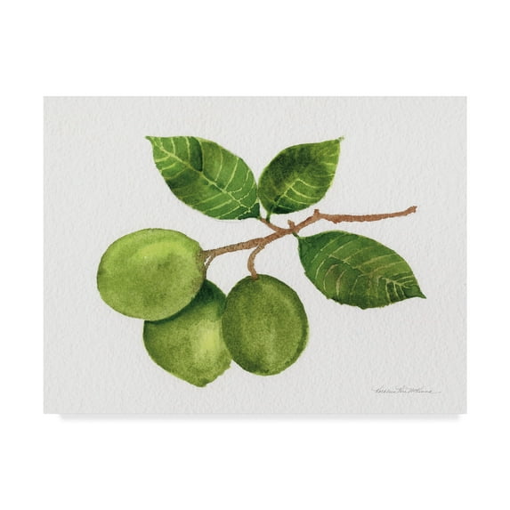 Trademark Fine Art 'Citrus Garden II' Canvas Art by Kathleen Parr McKenna