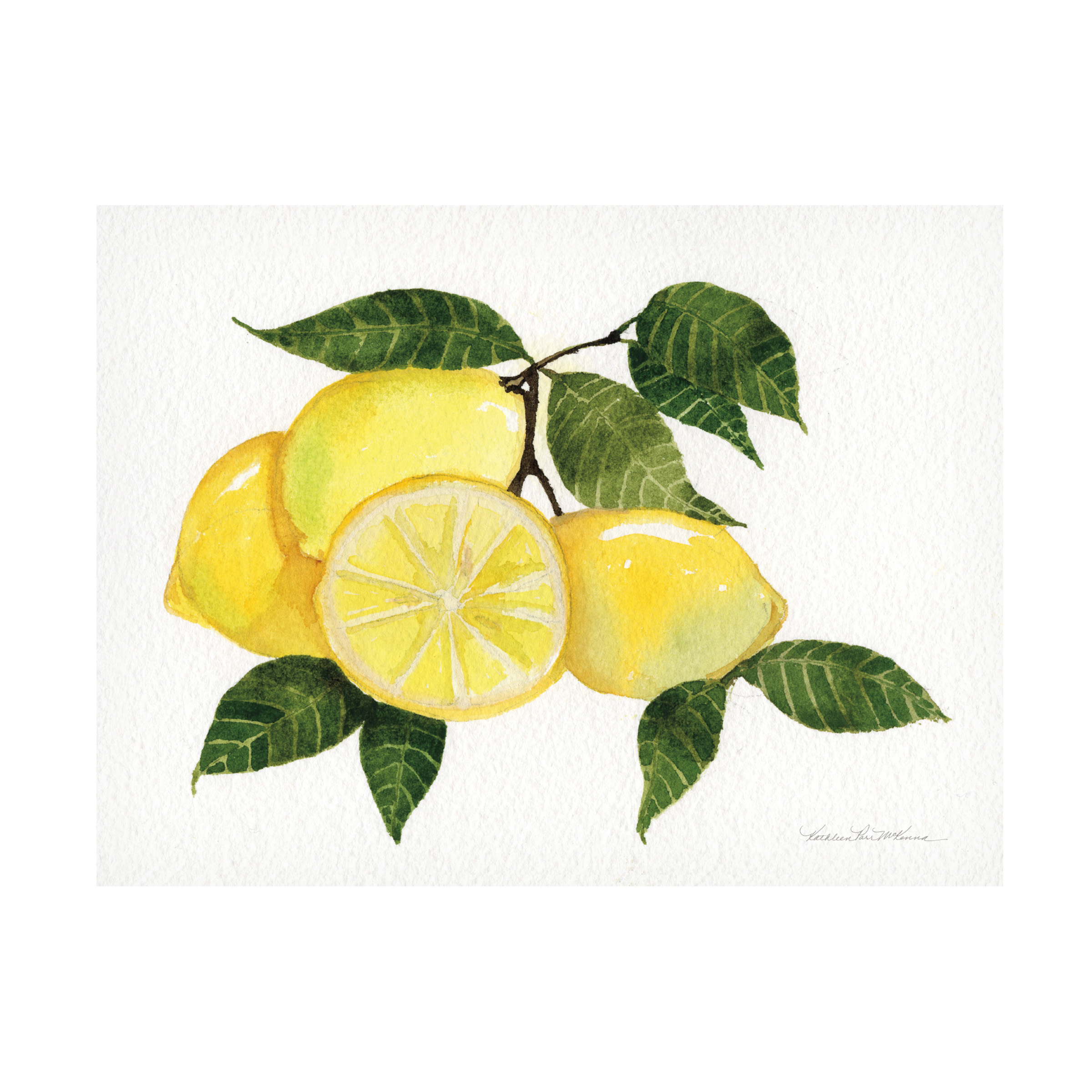 Trademark Fine Art 'Citrus Garden VI' Canvas Art by Kathleen Parr McKenna