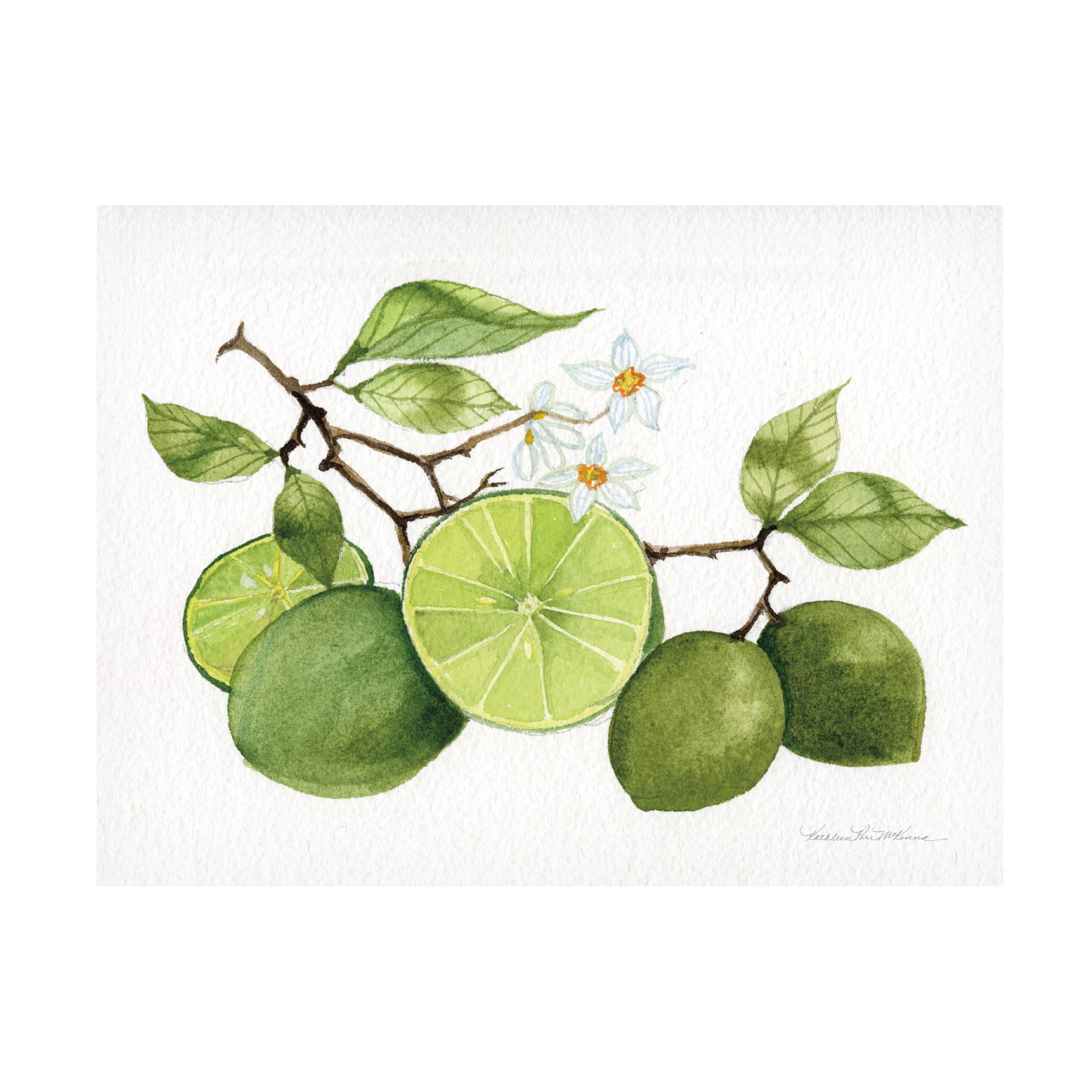 Trademark Fine Art 'Citrus Garden VII' Canvas Art by Kathleen Parr McKenna