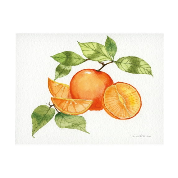 Trademark Fine Art 'Citrus Garden VIII' Canvas Art by Kathleen Parr McKenna