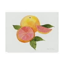Trademark Fine Art 'Citrus Garden X' Canvas Art by Kathleen Parr McKenna