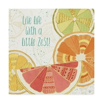 Trademark Fine Art 'Citrus Splash II' Canvas Art by Veronique Charron