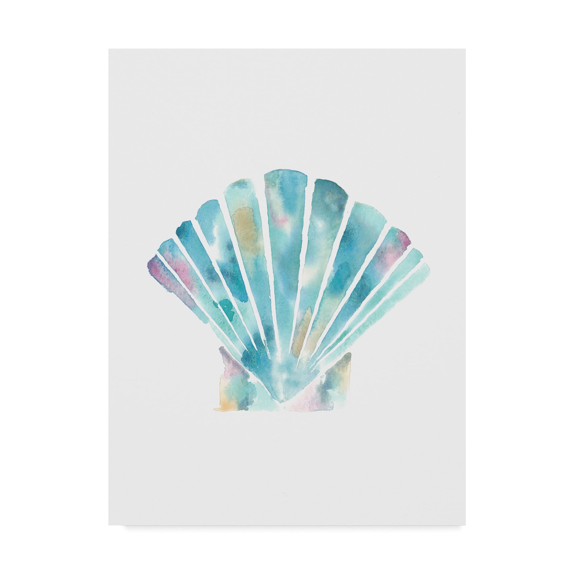 Nikcy Shell Trademark Fine Art 'Clam Shell' Canvas Art by Nicky Kumar - Walmart ...