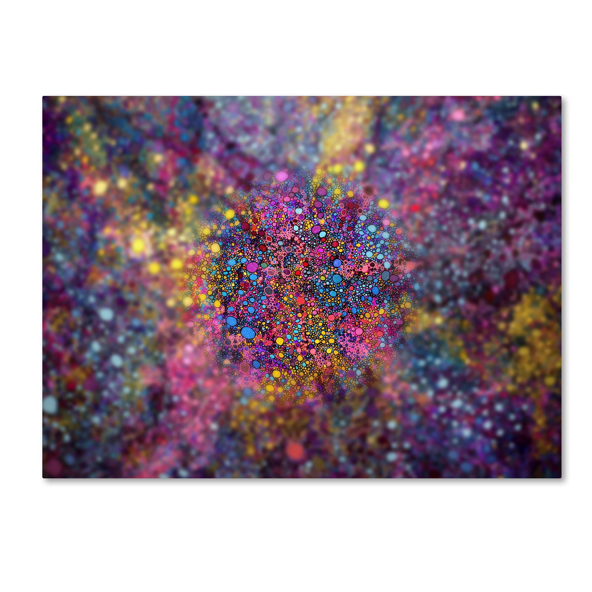 Trademark Fine Art 'Clarity of Insight' Canvas Art by MusicDreamerArt