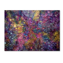 Trademark Fine Art 'Clarity of Insight' Canvas Art by MusicDreamerArt