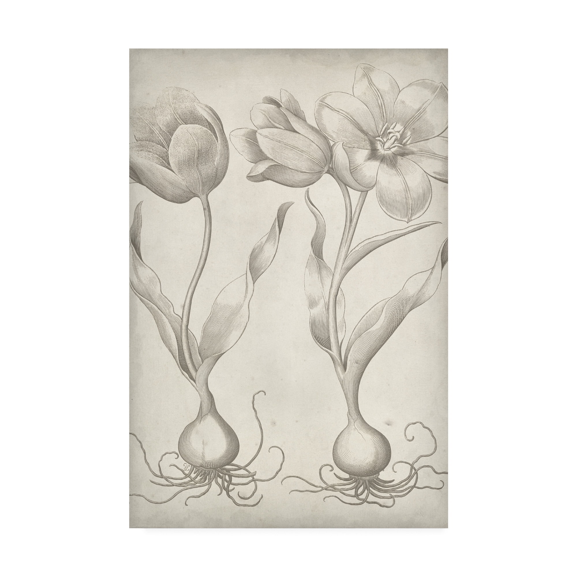 Trademark Fine Art 'Classic Romance III' Canvas Art by Vision Studio
