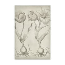 Trademark Fine Art 'Classic Romance III' Canvas Art by Vision Studio