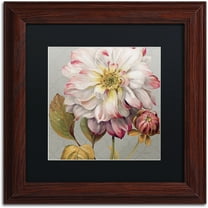 Trademark Fine Art "Classically beautiful II" Canvas Art by Lisa Audit, Black Matte, Wood Frame