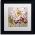 thumbnail image 1 of Trademark Fine Art "Classically beautiful II" Canvas Art by Lisa Audit, White Matte, Black Frame, 1 of 4