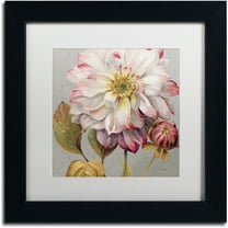 Trademark Fine Art "Classically beautiful II" Canvas Art by Lisa Audit, White Matte, Black Frame