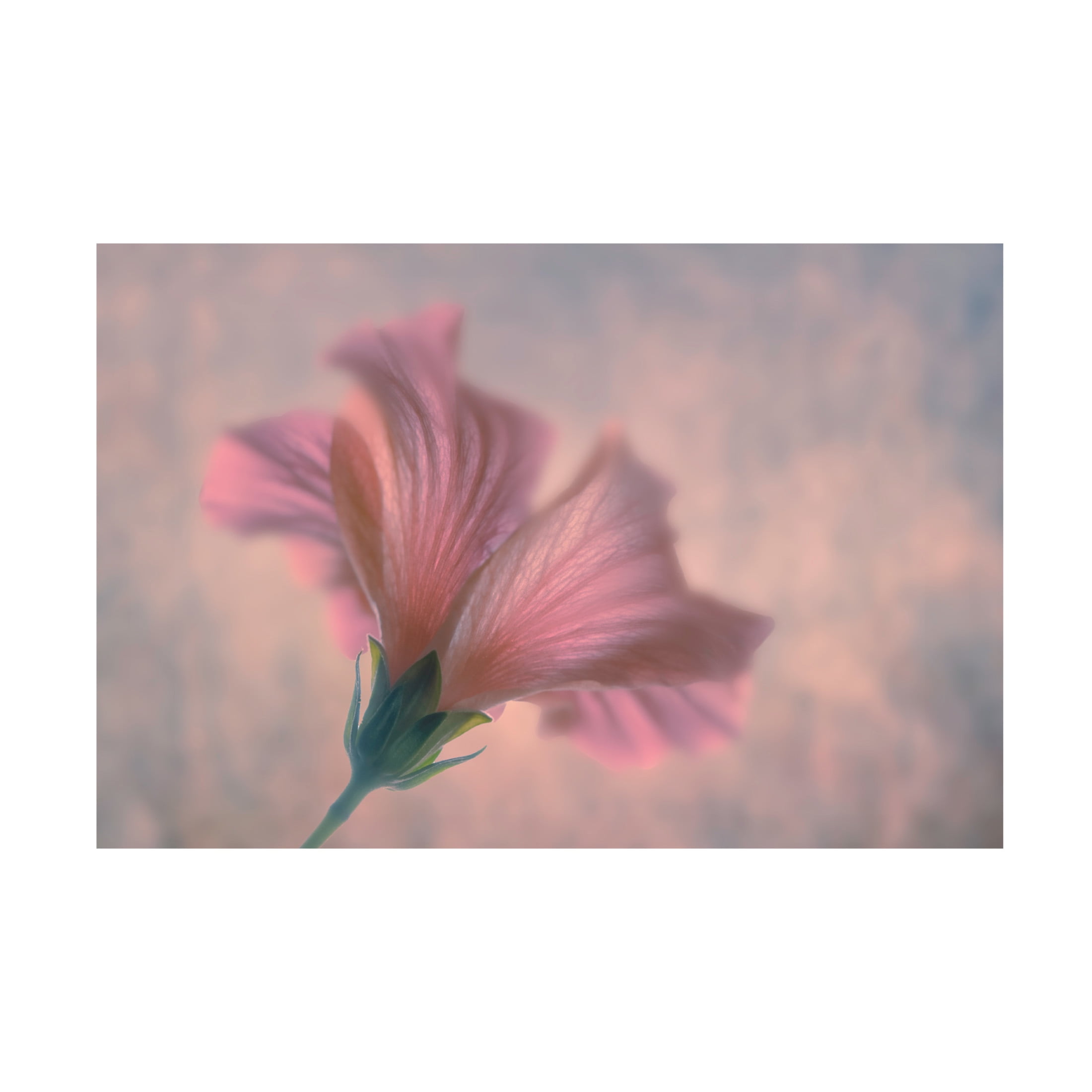 Trademark Fine Art Clear Water Dancing Canvas Wall Art