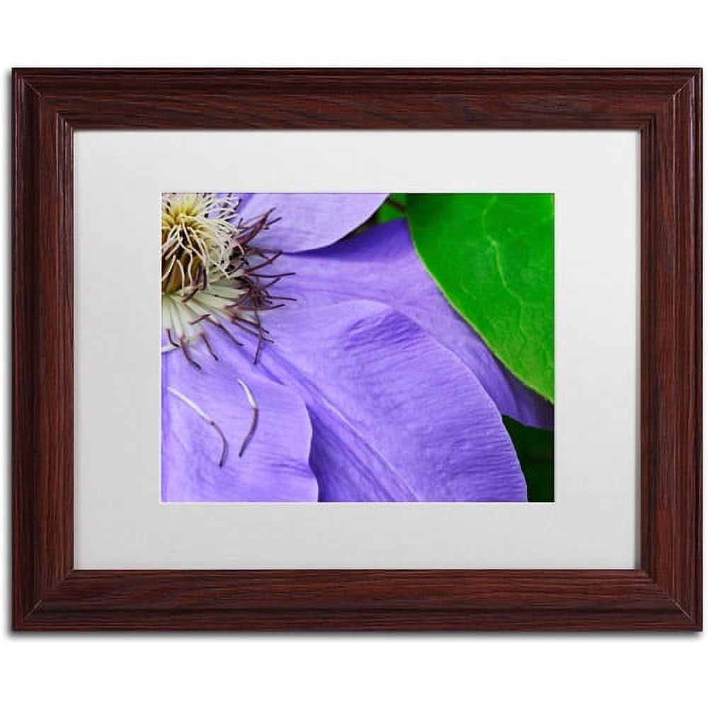 Trademark Fine Art "Clematis Abstract" Canvas Art by Kurt Shaffer White Matte, Wood Frame