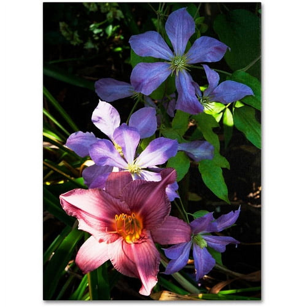 Trademark Fine Art "Clematis and Lily" Canvas Art by Kurt Shaffer