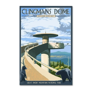 Trademark Fine Art 'Clingmans Dome' Canvas Art by Lantern Press