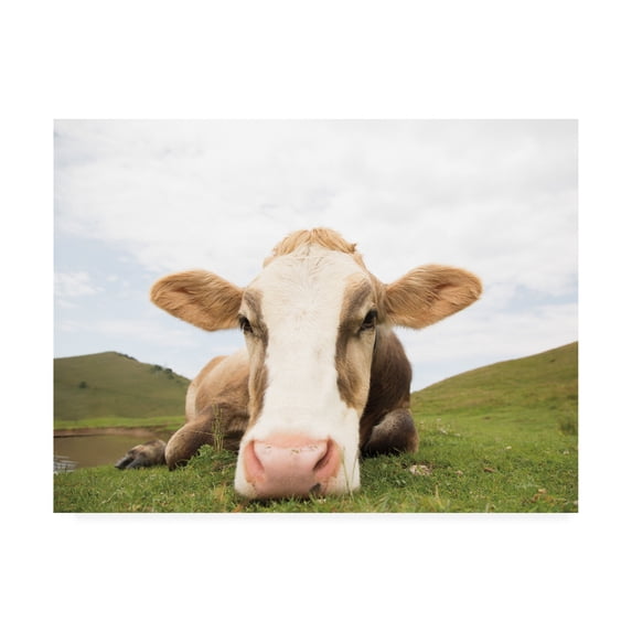 Trademark Fine Art 'Close Up I v2 no Cows Crop' Canvas Art by Aledanda