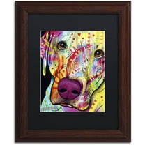 Trademark Fine Art 'Close Up Lab' Canvas Art by Dean Russo, Black Matte, Wood Frame