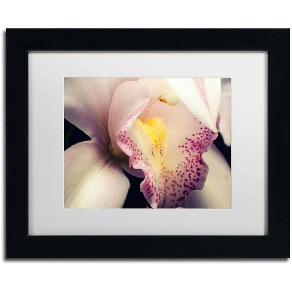Trademark Fine Art 'Close-Up of Orchid' Canvas Art by PIPA Fine Art, White Matte, Black Frame
