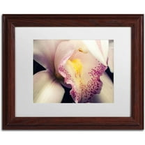 Trademark Fine Art 'Close-Up of Orchid' Canvas Art by PIPA Fine Art, White Matte, Wood Frame