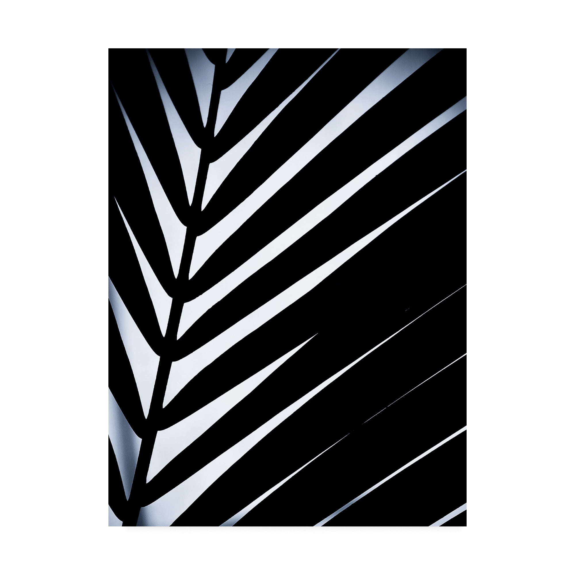 Trademark Fine Art 'Close up VI' Canvas Art by Incado