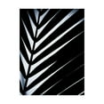 thumbnail image 1 of Trademark Fine Art 'Close up VI' Canvas Art by Incado, 1 of 3