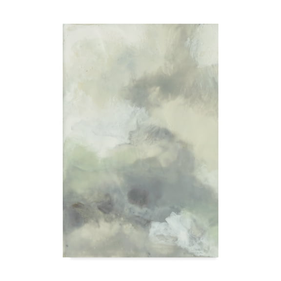 Trademark Fine Art 'Cloud Impressions I' Canvas Art by Jennifer Goldberger