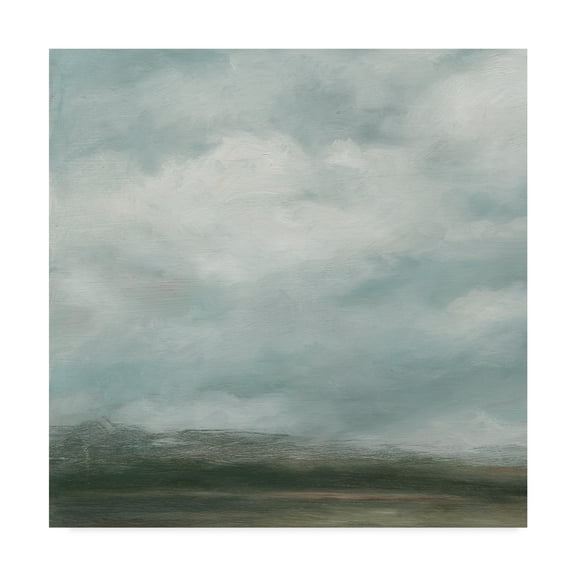 Trademark Fine Art 'Cloud Mist I' Canvas Art by Ethan Harper