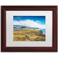 thumbnail image 1 of Trademark Fine Art 'Clouds Over Vik' Canvas Art by Philippe Sainte-Laudy, White Matte, Wood Frame, 1 of 1