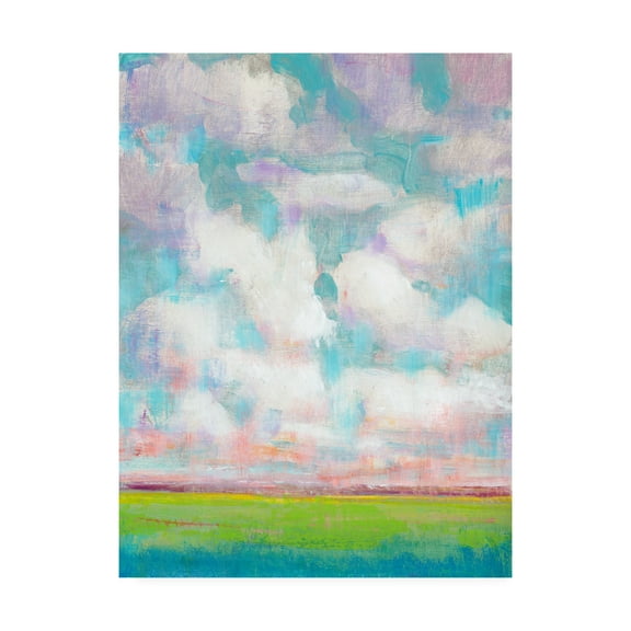 Trademark Fine Art 'Clouds in Motion I' Canvas Art by Tim OToole