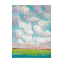 Trademark Fine Art 'Clouds in Motion I' Canvas Art by Tim OToole