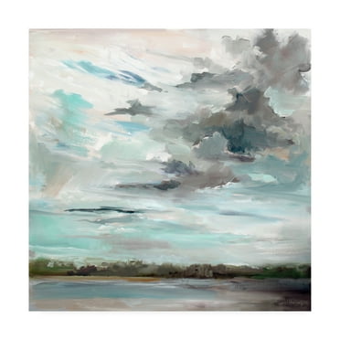 Trademark Fine Art 'Cloudy Days Don't Get Me Down' Canvas Art by Carol Halloc