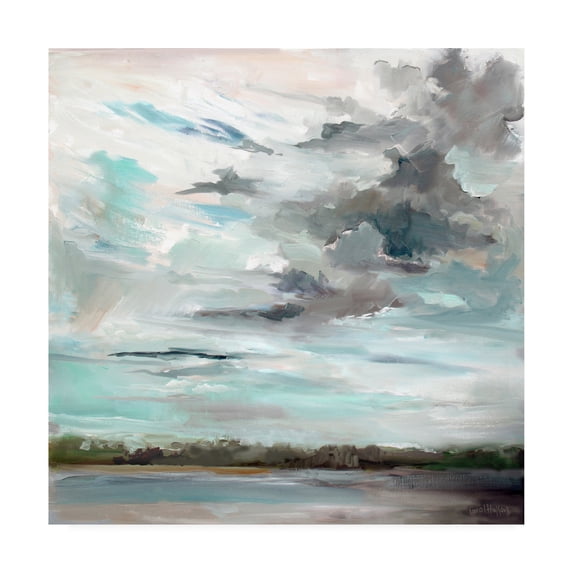 Trademark Fine Art 'Cloudy Days Don't Get Me Down' Canvas Art by Carol Halloc
