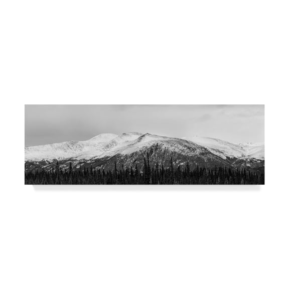 Trademark Fine Art 'Cloudy Snowscape' Canvas Art by Brenda Petrella Photography Llc