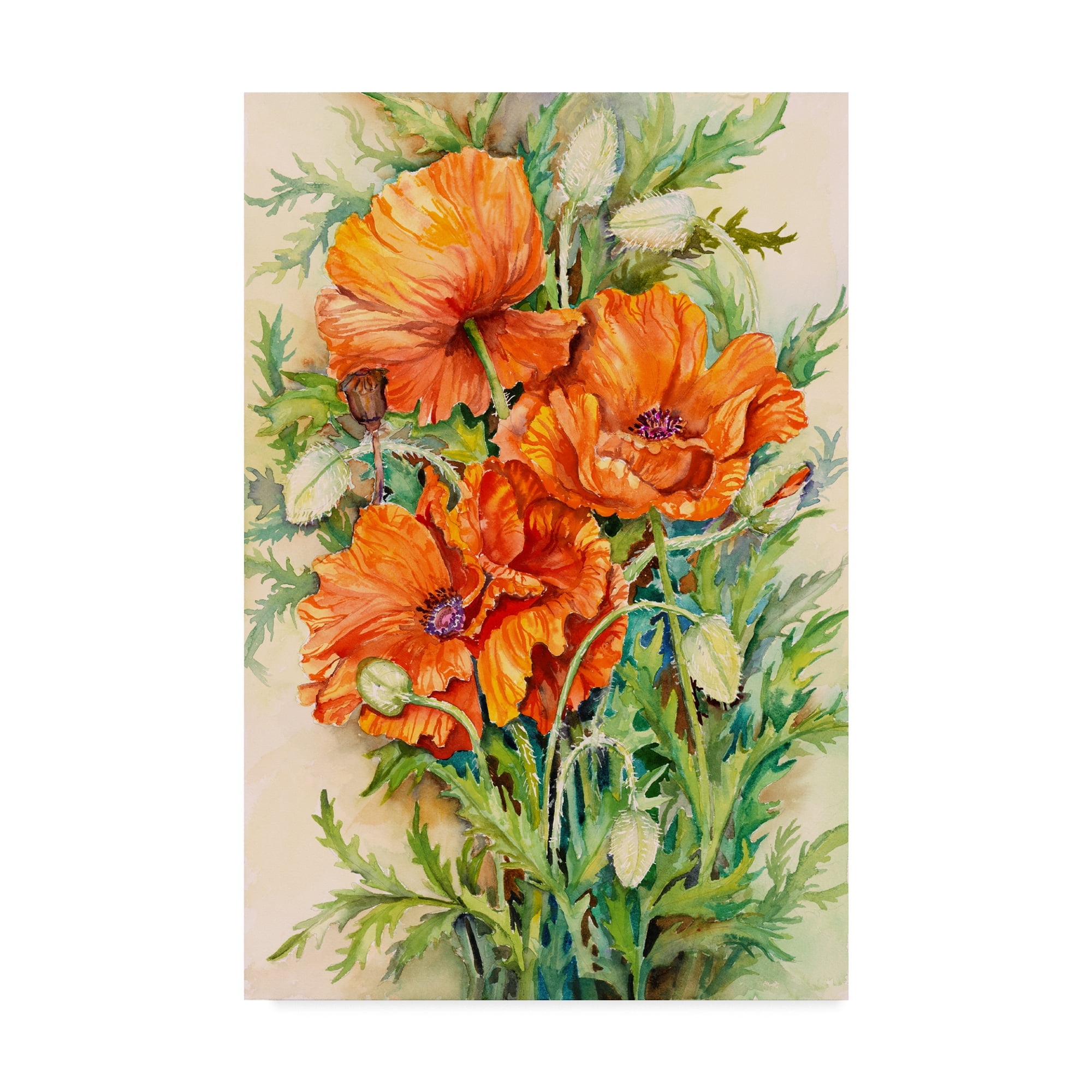 Trademark Fine Art 'Cluster Of Poppies' Canvas Art by Joanne Porter