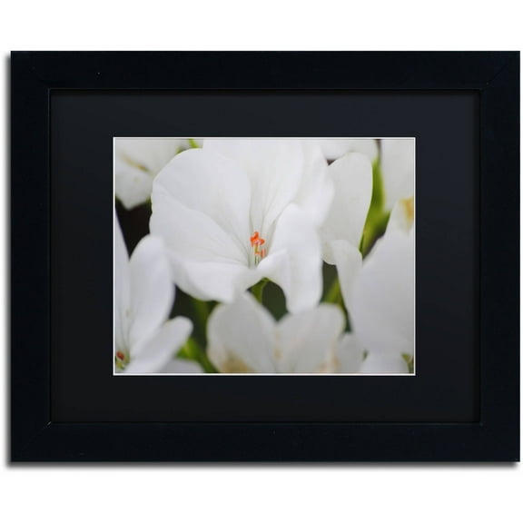 Trademark Fine Art "Clustered Jewel" Canvas Art by Monica Mize, Black Matte, Black Frame