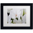 thumbnail image 1 of Trademark Fine Art "Clustered Jewel" Canvas Art by Monica Mize, White Matte, Black Frame, 1 of 1