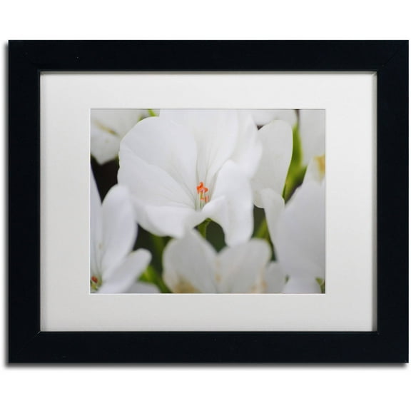 Trademark Fine Art "Clustered Jewel" Canvas Art by Monica Mize, White Matte, Black Frame