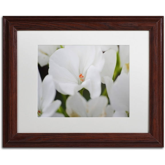 Trademark Fine Art "Clustered Jewel" Canvas Art by Monica Mize, White Matte, Wood Frame