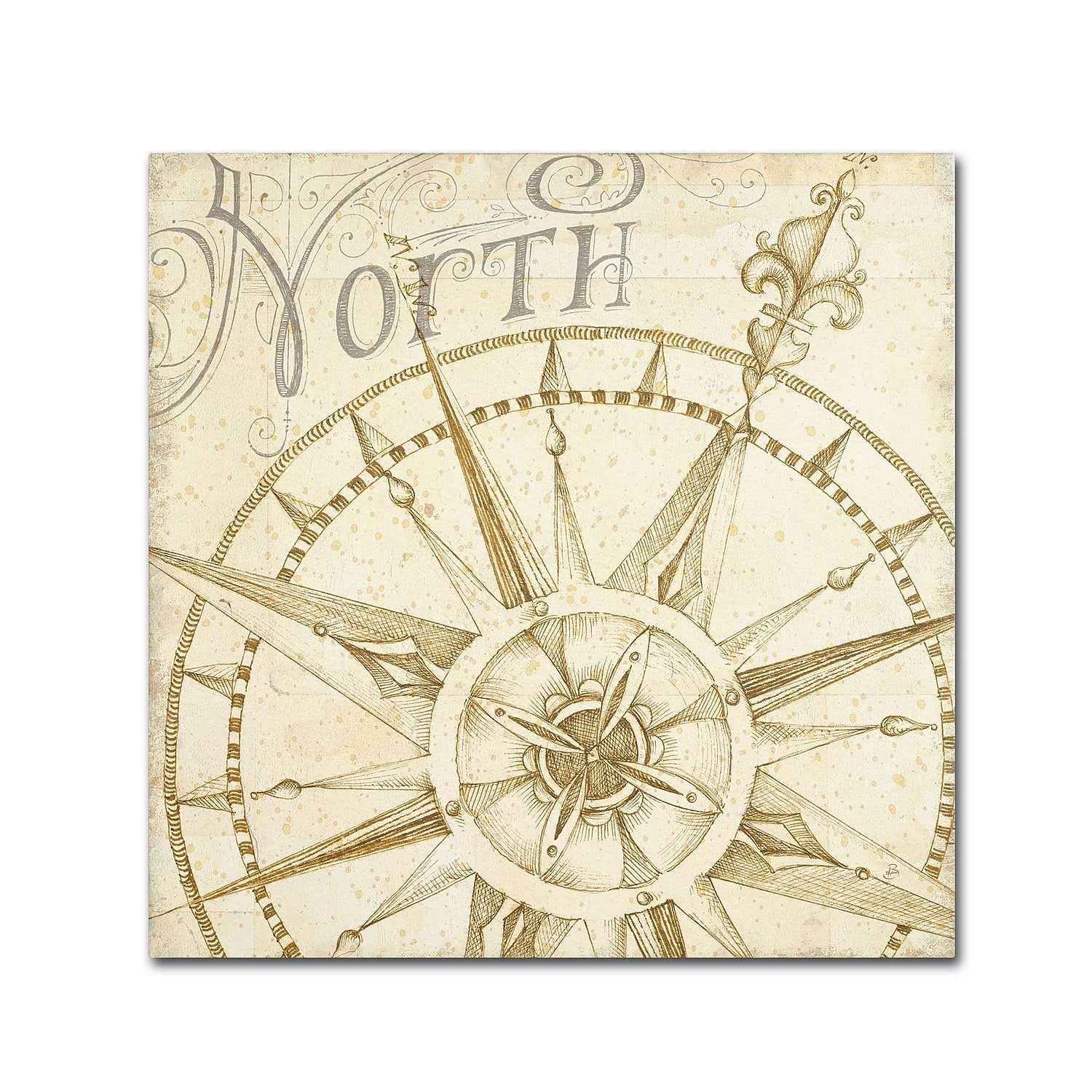 Trademark Fine Art "Coast to Coast Sepia I" Canvas Art by Daphne Brissonnet